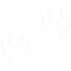 Animal Claws