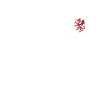 Jésus-Christ Christianisme Dieu Bible
