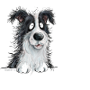 Drolliger Border Collie Hund Spruch