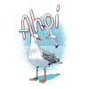 Ahoy Seagull Illustration