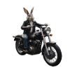 Biker Hase