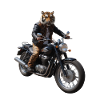 Tiger biker