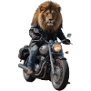 Biker Lion