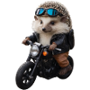 Herisson motard