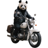 Biker Panda