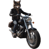 Biker Wolf