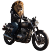 Biker-Löwe