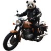 Biker Panda