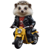 Hérisson scooter