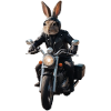 Biker Rabbit