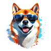 Shiba Inu with sunglasses