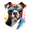 Staffordshire with sunglasses
