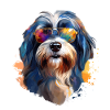 Tibetan Terrier with Sunglasses