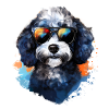 Poodle with sunglasses