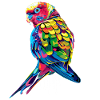 Parakeet, Budgie, Budgie, Parrot, Popart