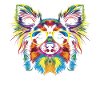 Papillon Dog Sunglasses Popart