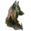Akita
