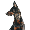 Doberman