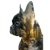 Fransk bulldog