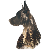 Great Dane