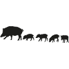 Wildschweinrotte