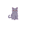 British Shorthair Gifts