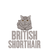 Cadeaux British Shorthair