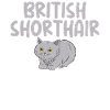Cadeaux British Shorthair