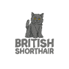 Cadeaux British Shorthair