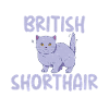 Cadeaux British Shorthair