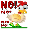 ANSWER NO - CHICKEN COOP