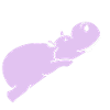 Hippopotamus