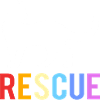 Katzenrettung Tierrechte Tierrettung Tierheim