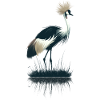 Crowned crane