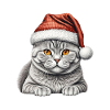 american shorthair christmas cat