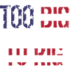 TOO BIG TO RIG 2024