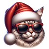 Jul Kat Cool