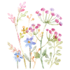 Delicate Watercolour Floral Art