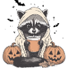 Halloween Sweater, Raccoon Halloween, Gift