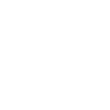 Vice-président