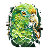 Budgie Parakeet