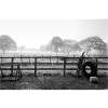 Auf dem Bauernhof im Regen