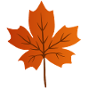 Maple Leaf