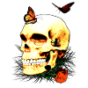skull...perfect for halloween