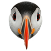Puffin