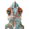 Caméléon