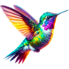 Colibri