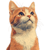 Cute Ginger Cat