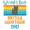 British Shorthair Gifts
