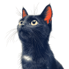 Chat noir mignon